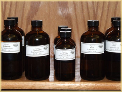 hierbas ayurveda